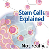 square-stem-cells