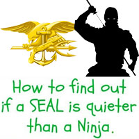 square-seal-v-ninja